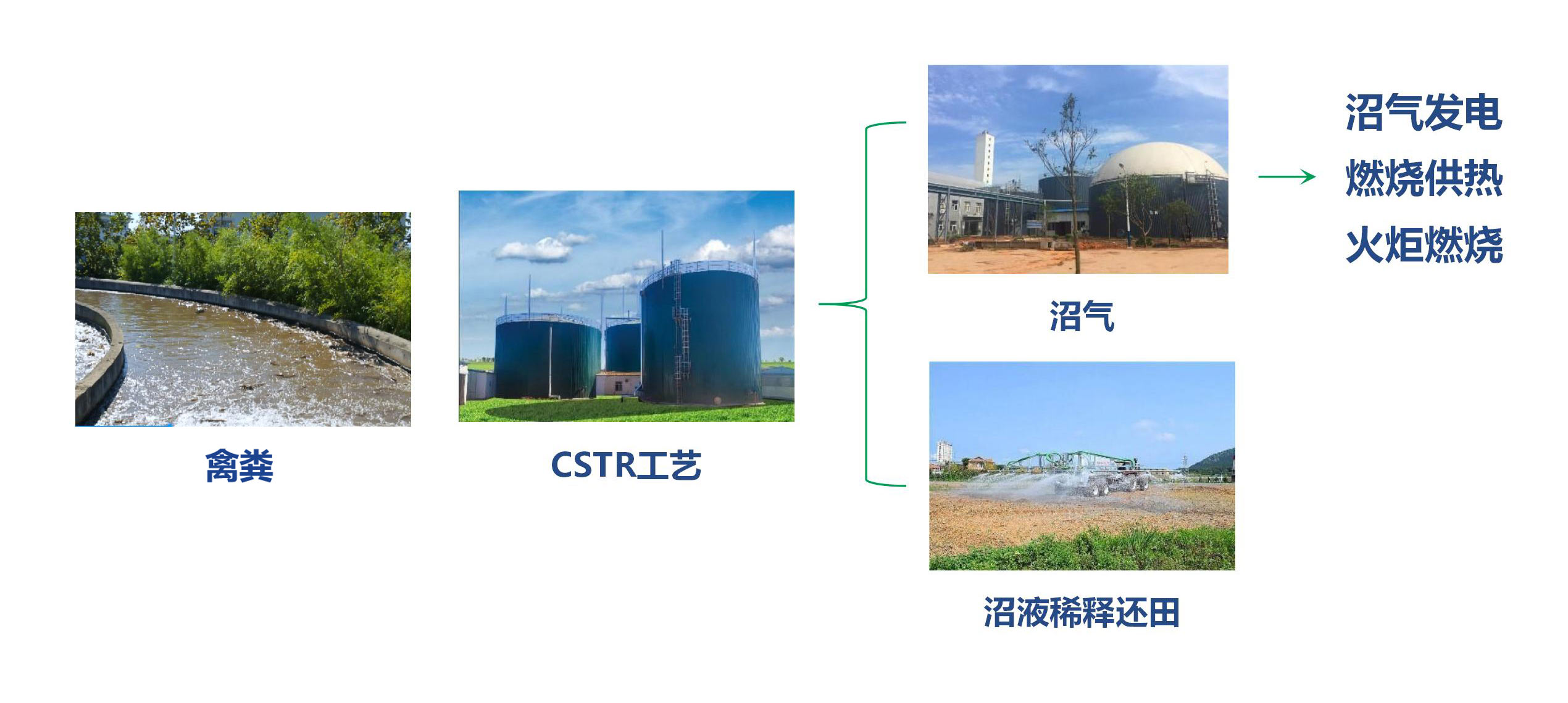 中；肪-·-禽类粪便全产业链系统解决规划-9.0_01.jpg